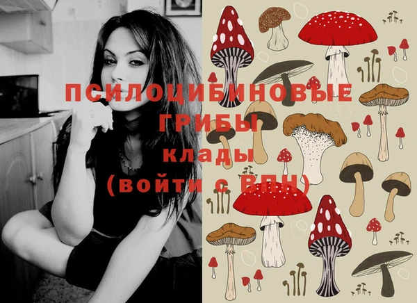 кокаин перу Каменногорск