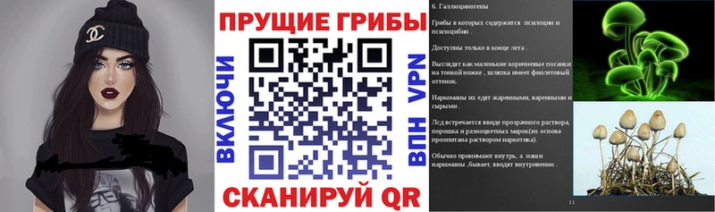 Галлюциногенные грибы Cubensis  Купить где  Вуктыл 